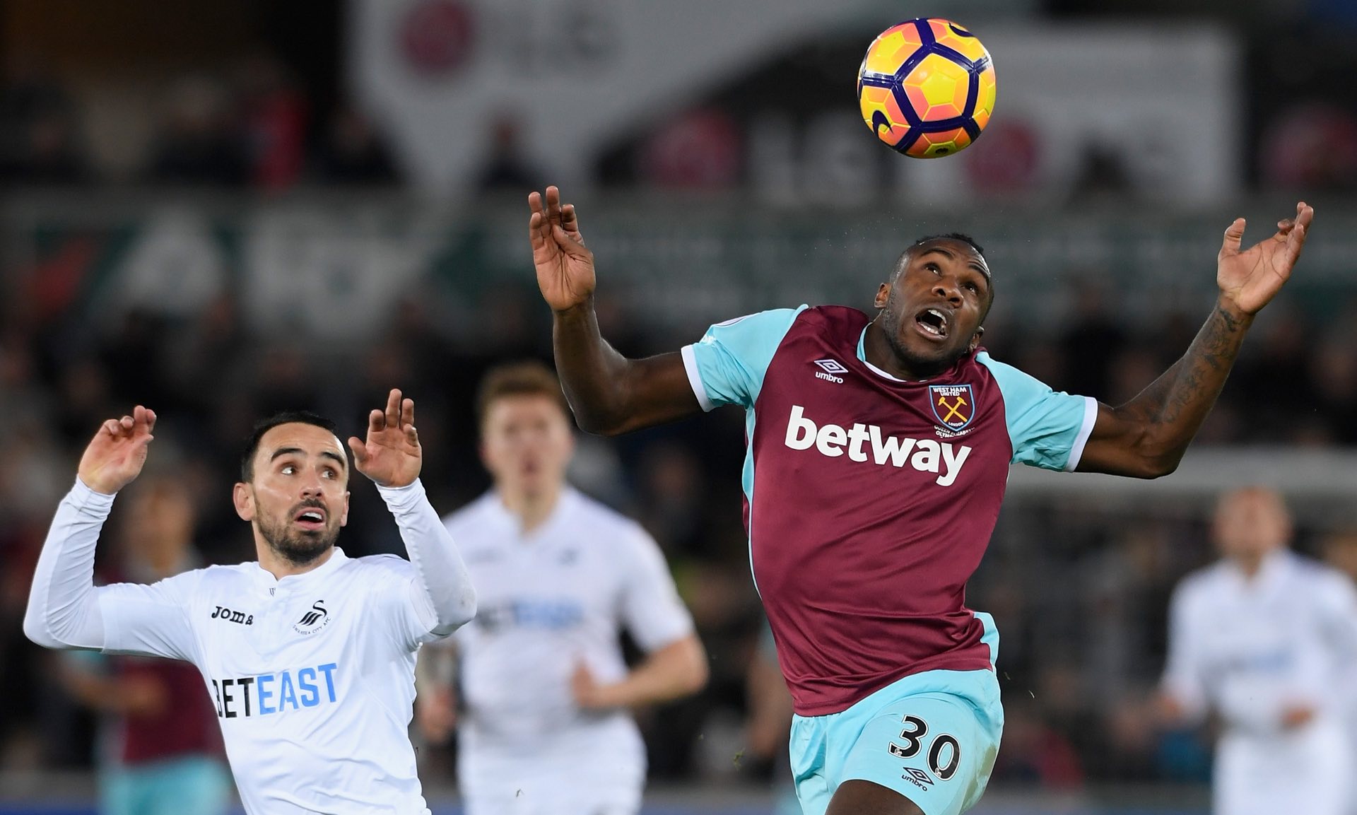 时曾多次采 时曾多次采